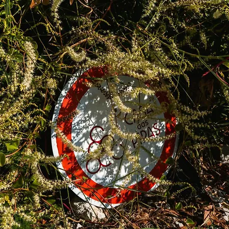 Casa Pipas Palmela #3 Chata